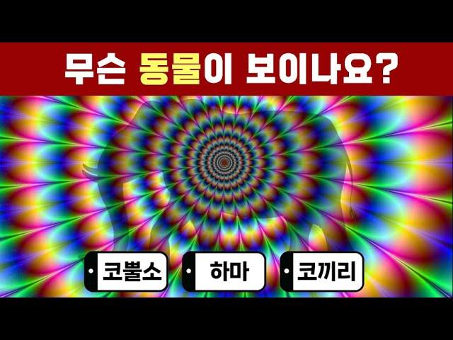 무슨 동물인지 보인다면 당신의 눈은 상위 2% 특별한 눈입니다. 안구 나이 노안 시력 테스트.