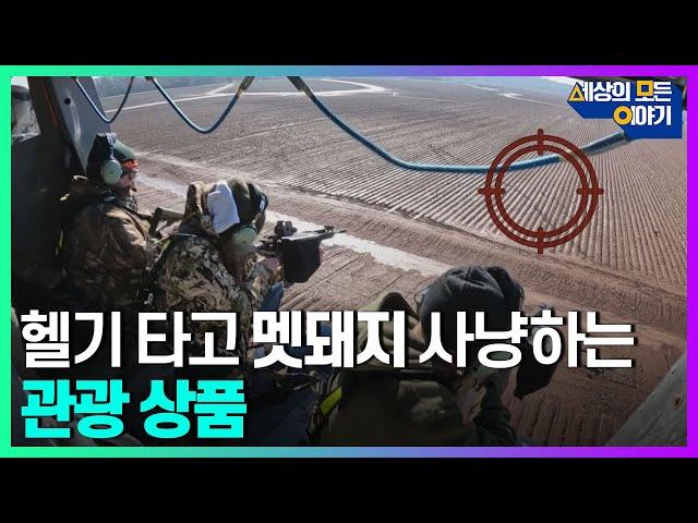 헬기 타고 멧돼지 사냥하는 미국 관광 상품?ㅣ세모이 [54회] / YTN2