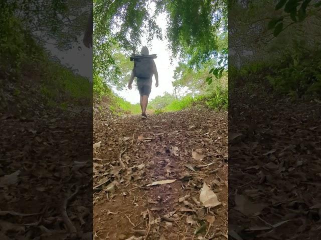 Hiking in my "Backyard"  #Kauai #shorts #Hawaii #backpacking  #dayhike#shortsreels