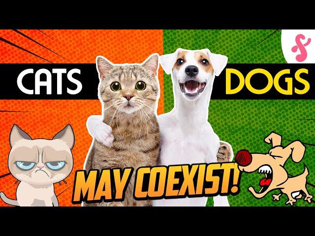 ️How to Introduce Cats and Dogs | Furry Feline Facts