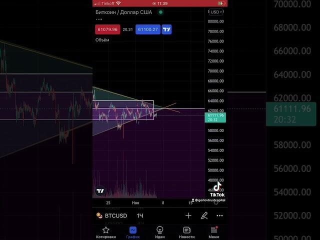 Прогноз Биткоина за 30 секунд