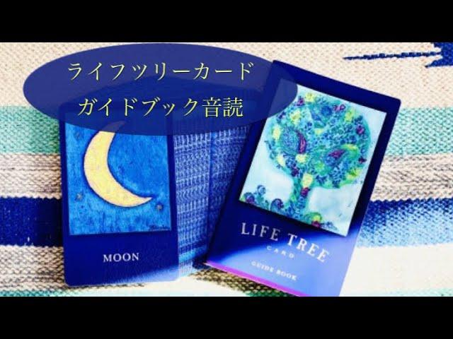 ライフツリーカード 音読 天秤座の新月内側からのメッセージを受けとってみよう