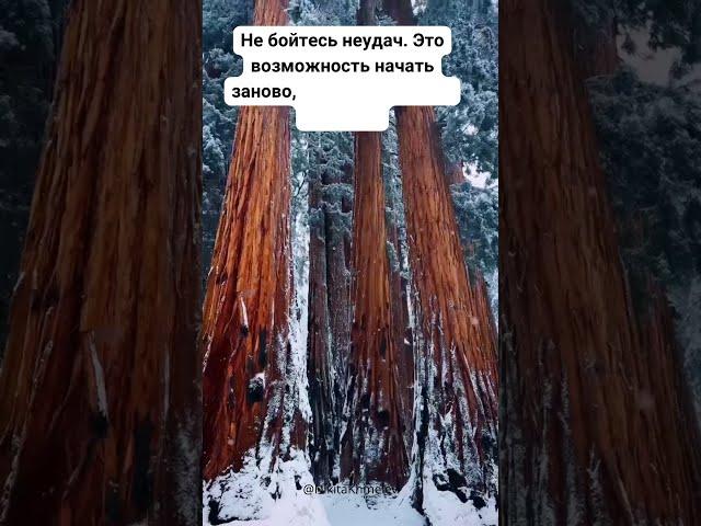 #motivation #recommendations #рекомендации #мотивация #никитахмелёв #shorts