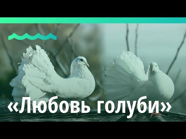 Краевой Музыкальный театр представил новую премьеру
