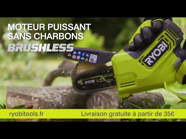 Découvrez l'élagueur Ryobi sans batterie