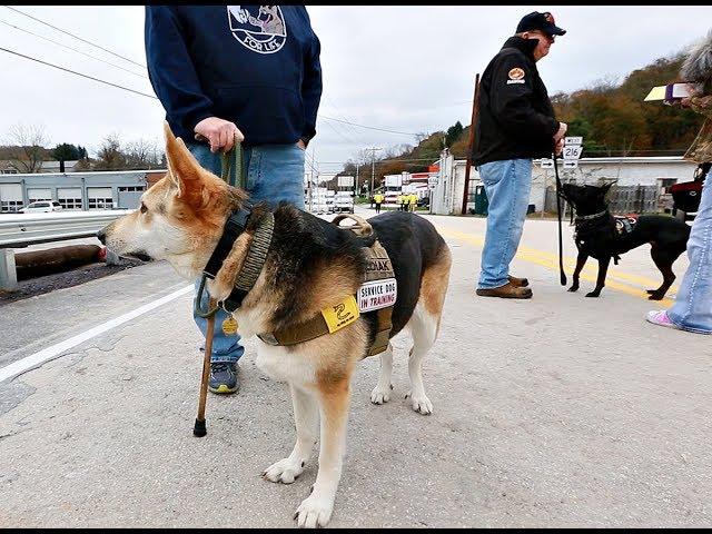 171114 Dog TAGS helps veterans