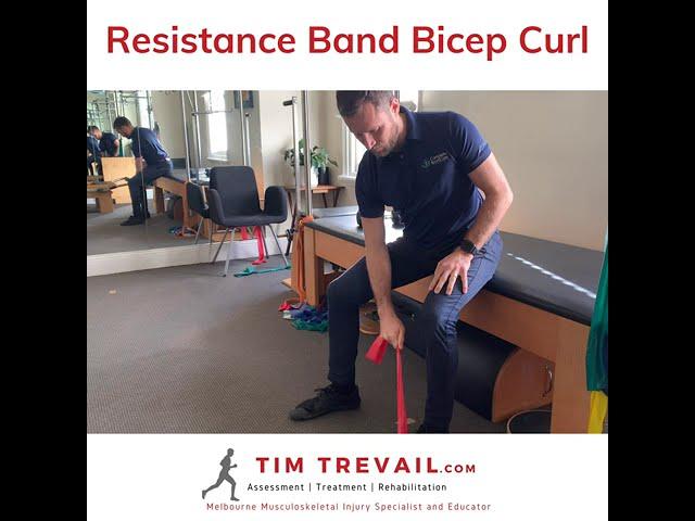 Resistance Band Bicep Curl