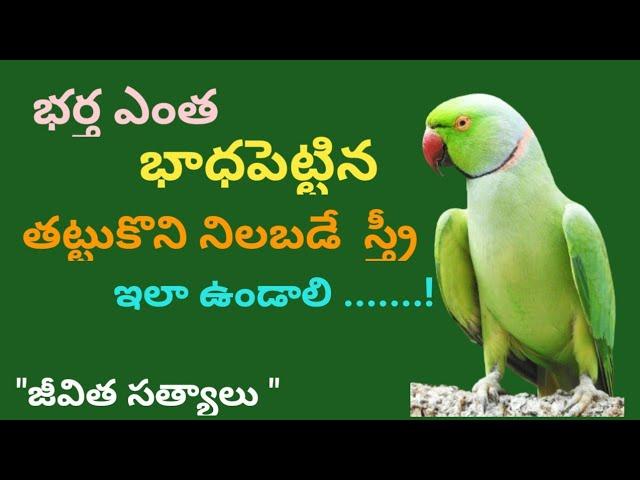 Daily Motivational & InspirationalTelugu Quotes Lessons # 95 l జీవిత సత్యాలు l మంచిమాటలు l సూక్తులు