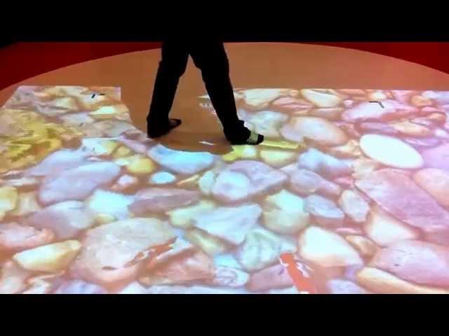 Interactive Floor Projection Systems