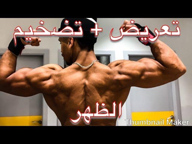 تمارين الظهر  (تعريض+تضخيم )