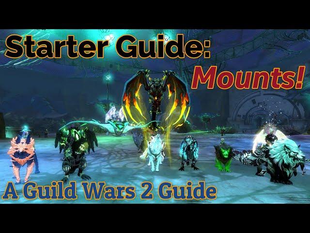 Guild Wars 2: A 𝑺𝒕𝒂𝒓𝒕𝒆𝒓 Guide on Mounts!