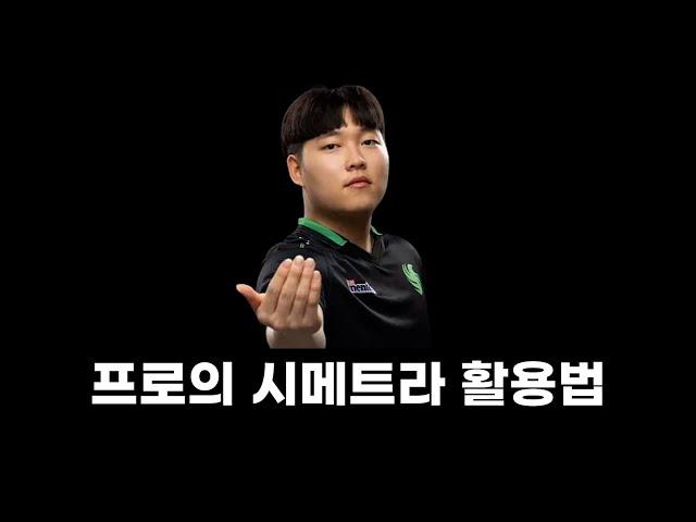 프로의 시메트라 활용법