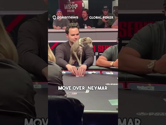 DOG AT THE POKER TABLE?!!  #pokernews #wsop2024