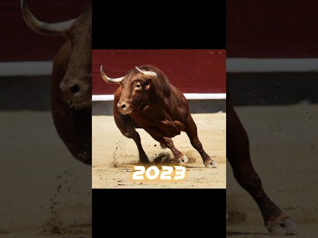 2023 Bull  vs 5000 bce Bull  #shorts #viral