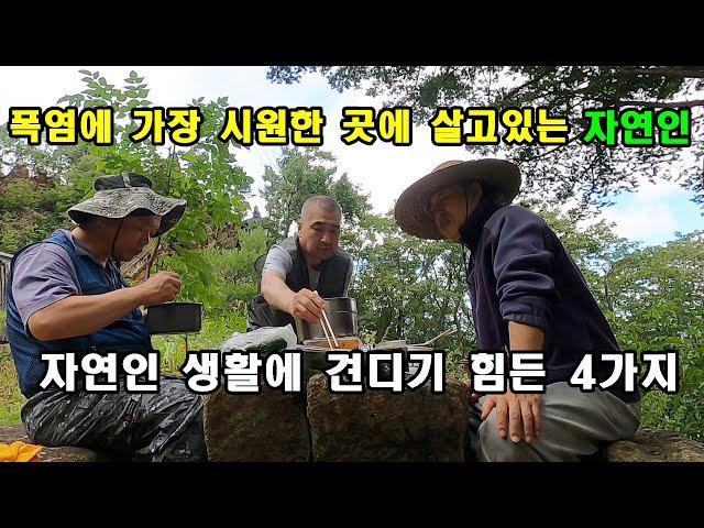 폭염에 가장 시원한 곳에 살고있는 자연인, 자연인 생활에 견디기 힘든 4가지.