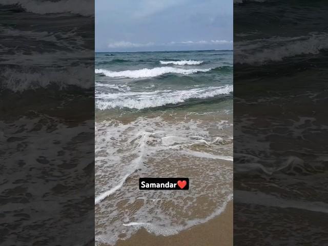 Dhanushkodi Beach #shorts #ytshorts #trending #viralvideo #sea