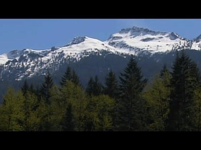 Insects and the Forests of the Pacific Northwest