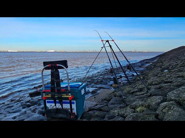 A day Fishing the Humber and Holderness Coast with Dad