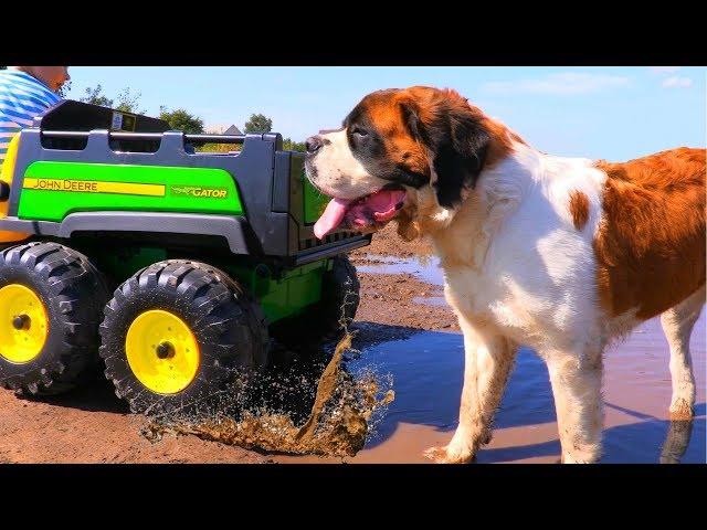 ЗАСТРЯЛИ в болоте с СОБАКОЙ или Car Stuck in the mud with DOG