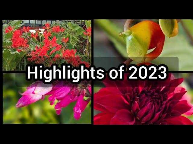 Freya's Tropical Garden - Highlights of 2023!