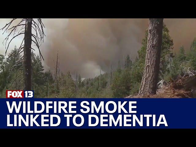 UW study links wildfire smoke with increase dementia risk | FOX 13 Seattle