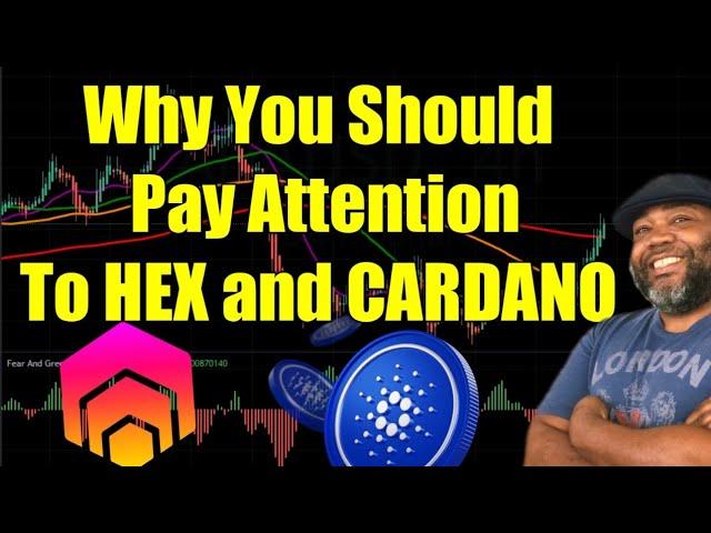 Why You Should Pay Attention To HEX and CARDANO | HEX TA | ADA TA