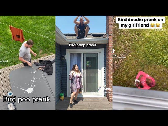 Bird Poop Prank Tiktok Compilation 