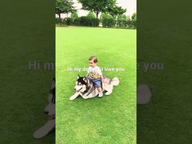 #baby#dog#funny #short #ramesh #chander#schoran#