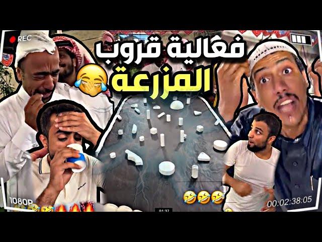 مسابقة قروب المزرعة | مرتضى شرب بيض| سنابات مرتضى السلمان| بودويش| النوري|قروب المزرعة