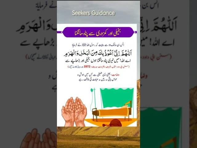Wazaif #shorts #ytshorts#seekersguidance #nabviwazifa