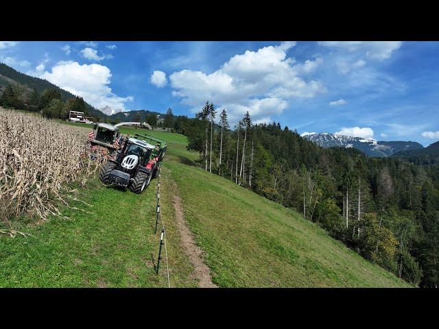 Maisernte am Abgrund | Claas Jaguar, Steyr CVT Absolut, Valtra T235, Krone GX 440 & Fliegl, Göweil