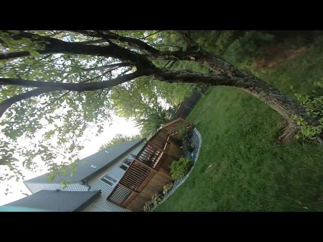 BetaFlight4.2 - Rebuild test run in the backyard.  This thing feels so good!