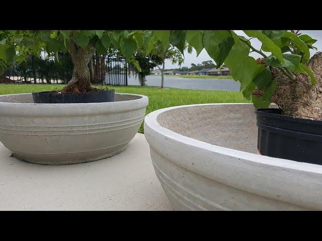 DIY - LARGE CONCRETE PLANTER ANY SIZE FOR LESS