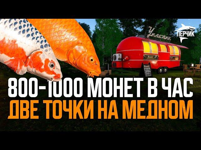 Две точки для ПРИЯТНОГО ФАРМА на Медном озере ● Русская рыбалка 4 ● Перчик РР4