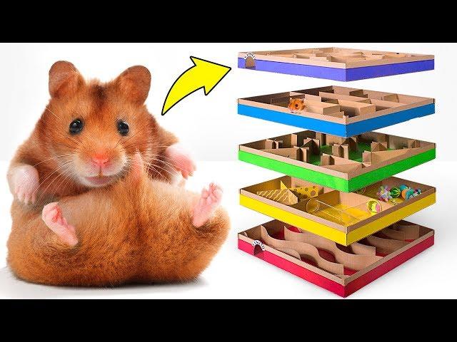 Incrível labirinto DIY de 5 níveis para Hamsters ativos 