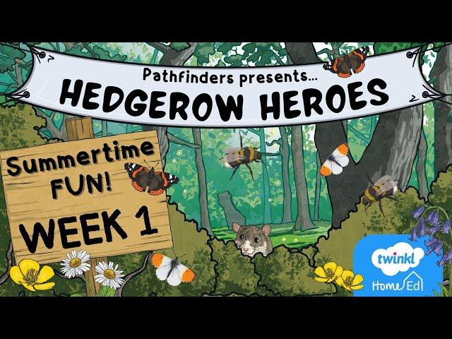 Pathfinders - Hedgerow Heroes (WEEK 1 - Summertime Fun)