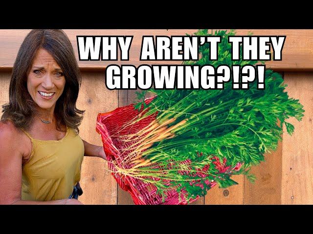 Why Your Carrots, Radishes, Beets Aren’t Growing - Fix It Fast!