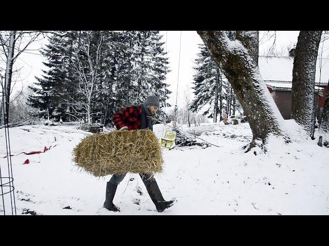 LIFE ON A NORWEGIAN FARM