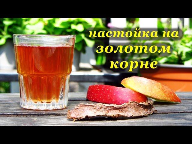 Рецепт настойки на золотом корне (родиола розовая) от Алкофана