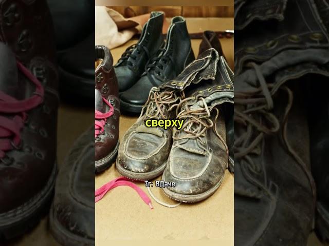 Пришла пора разгрузить сундуки со старой одеждой  #дача #сад #огород