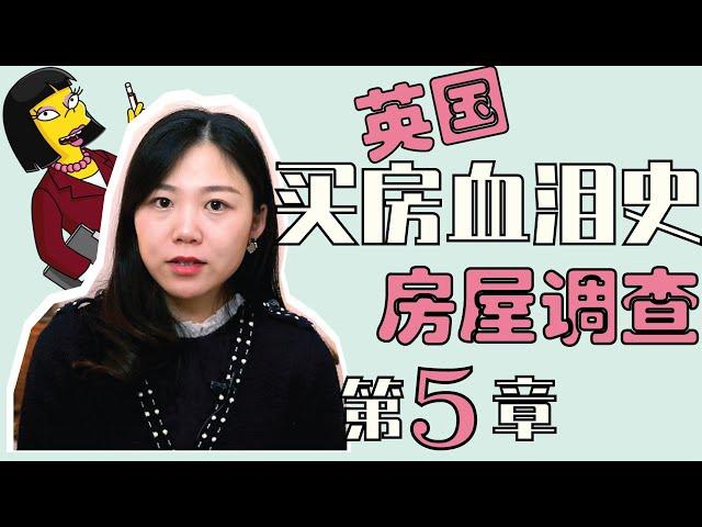 破财消灾:“房屋调查”至关重要!|详解英国房屋10大典型隐患|英国买房血泪史5