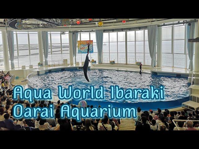 Aqua World Ibaraki Oarai Aquarium