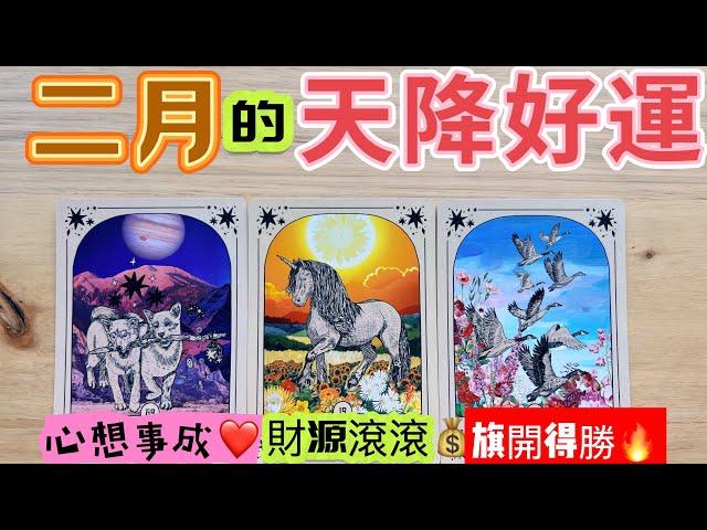 Alice占卜 二月February屬於你的幸運之🈷️｜前程似錦旗開得勝春風得意
