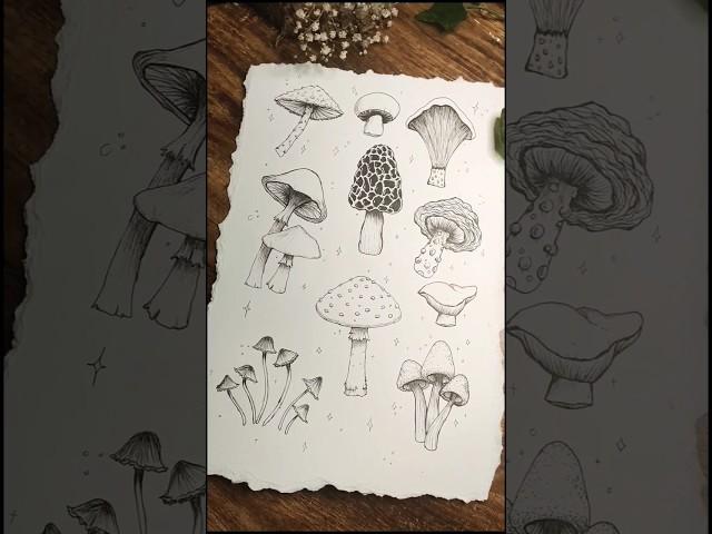 Draw with Me  Mushrooms  #artshorts #mushroomcore #cottagecore #shorts