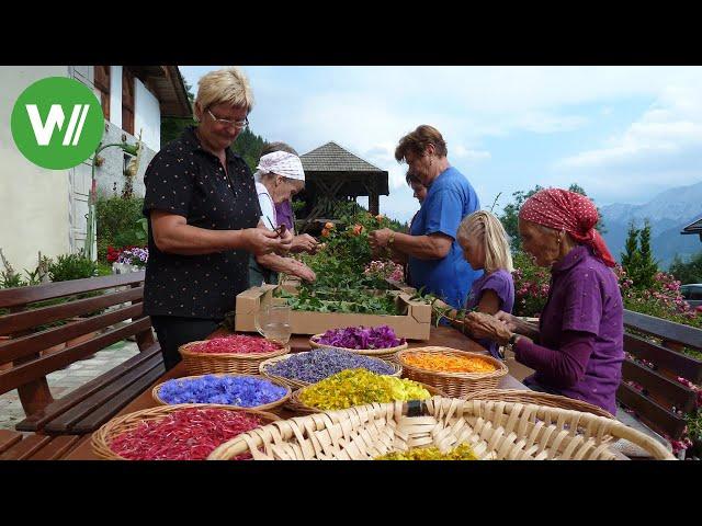 Kärnten - die Riviera Österreichs | Landträume (Folge 26/37)