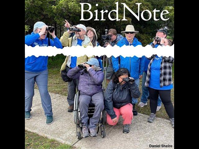Birdability at the World Series of Birding