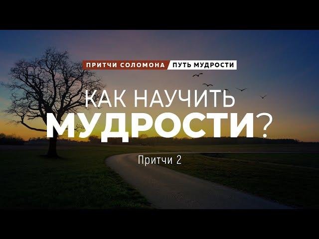 Путь мудрости: 2. Как научить мудрости? | Пр. 2 || Андрей Зубарев