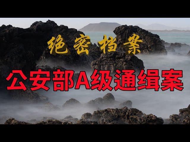 公安部A级通缉案