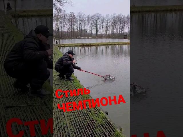 #fishing #youtubeshorts #youtuber #fishingtips #youtubefishing #рыбалка #врек #врекомендации #вреком
