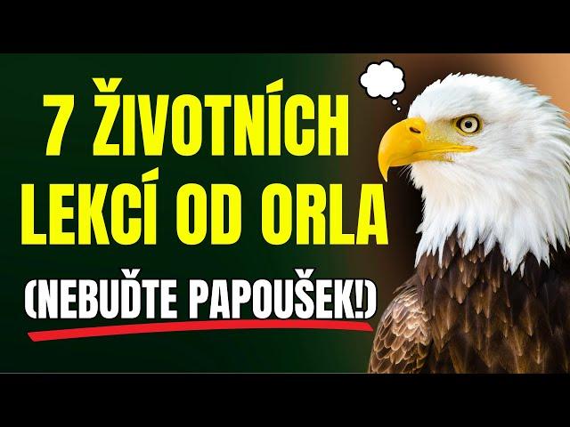 KDYŽ SE TO NAUČÍŠ OD ORLŮ, BUDEŠ MÍT V ŽIVOTĚ VŠECHNO | Moudrost, životní lekce 